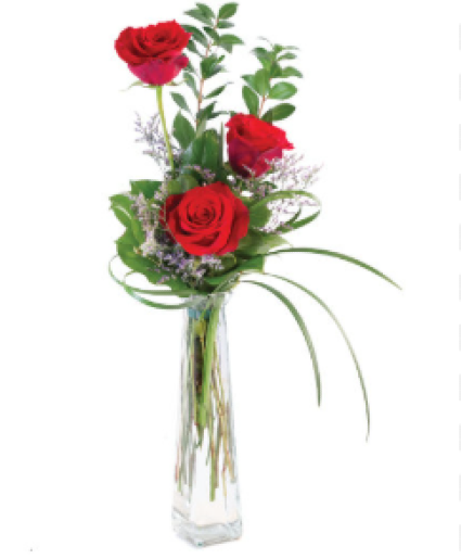 Three Fiery Roses 