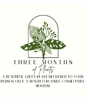 Three Months of Plants Green Plants
