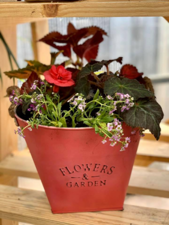 Through the Garden Rustic Colorful Bucket filled with annuals