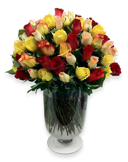 Grower Direct Thunder Bay's "Thunder Bundle" 100 Roses in a Vase