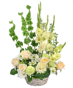 Timeless Delight Basket Arrangement