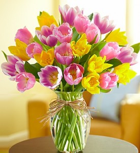 Spring is here with the Tulips  From Roma Florist 