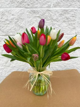 Timeless Tulips 