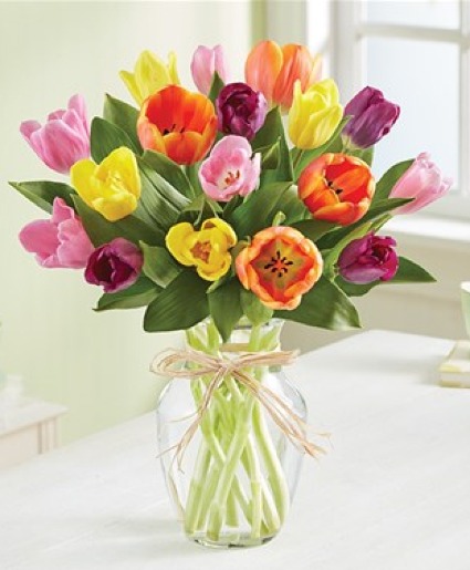 Timeless Tulips 