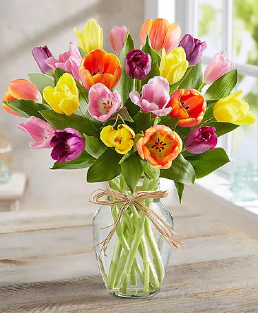 Timeless tulips  in Haltom City, TX | Jasmine Gardens