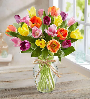 Tip Toe Thru The Tulips 