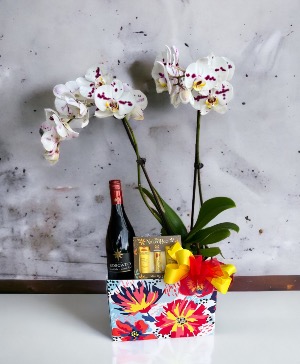 Thinking Of You, With Love Orchid, wine and mini bee kit