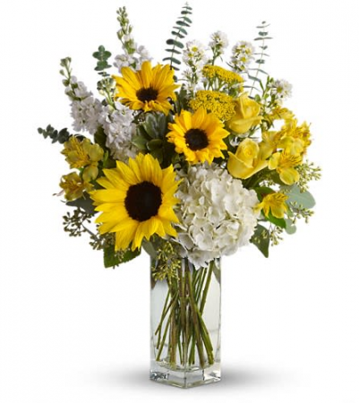To See you Smile fresh with Sunflowers
