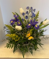 SOLD Today's Special #4 Today's Special #4