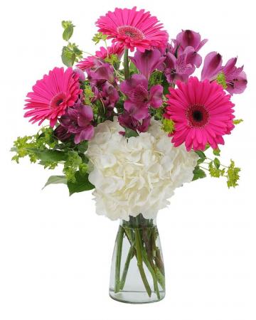 Too Cute Arrangement