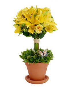 Topiary Jazz fresh flowers