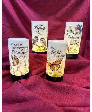 Touch Lights Availability Varies