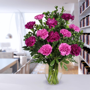 Traditional dozen of carnations  Doz Of carnations (color may vary)
