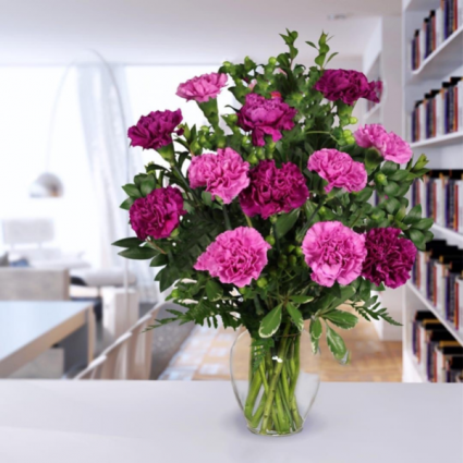 Traditional dozen of carnations  Doz Of carnations (color may vary)
