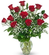  Red Roses with Babies Breath Roses