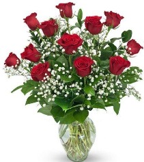  Red Roses with Babies Breath Roses