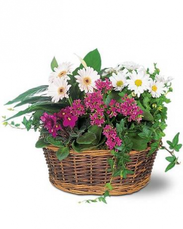 Traditional European Garden  Basket