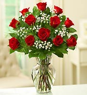 Traditional Roses - 1 Dozen Roses