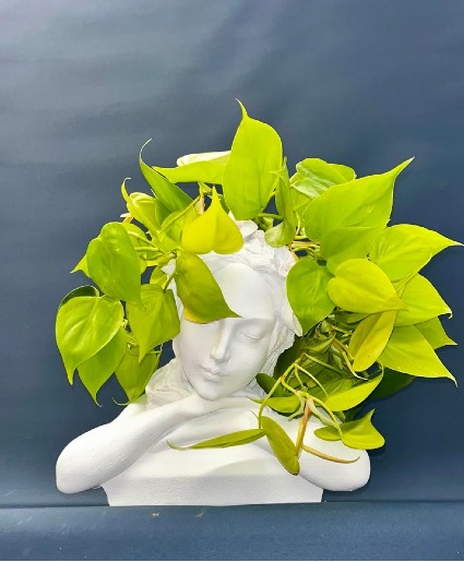 Tranquil Thought Head Planter Head Planter with 4" Pothos Plant
