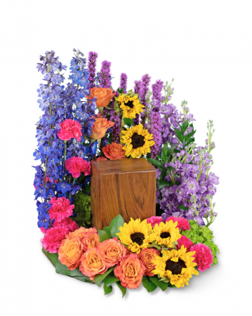Treasured Memories Surround Sympathy
