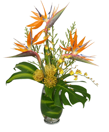 TRES CHIC FLOWERS Vase Arrangement in Toronto, ON | THE NEW LEAF FLORIST