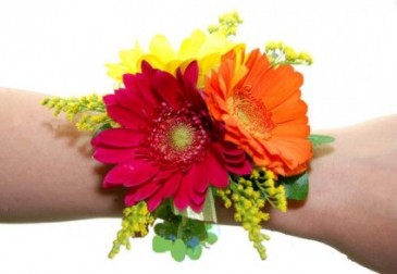 Tri Colour Gerbera Daisies Wrist Corsage in Port Stanley, ON | Flowers By Rosita