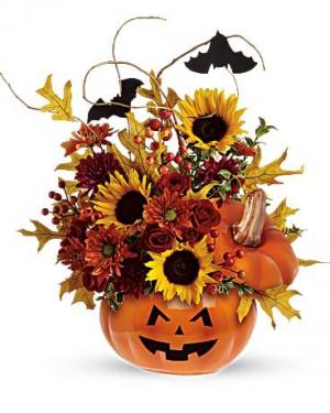 Trick & Treat T12H100 16"(w) x 17.5"(h) ONE SIDED