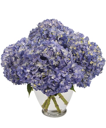 Tried & True Blue Arrangement in Cary, NC | GCG FLOWER & PLANT DESIGN