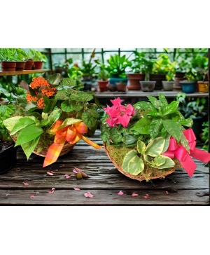 Planter Garden Trio
