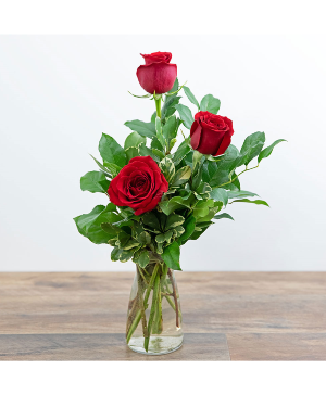 Trio Red Roses 