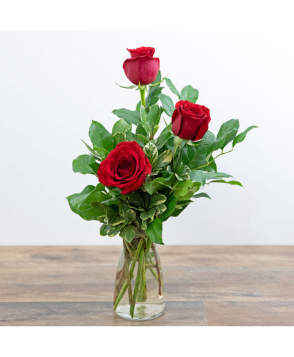 Trio Red Roses 