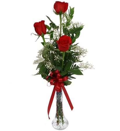 Trio Rose Bud vase FHF-V35 local only Fresh Flower Arrangement (Local Delivery Only)
