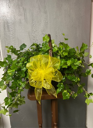 Triple Basket of Ivy Plant