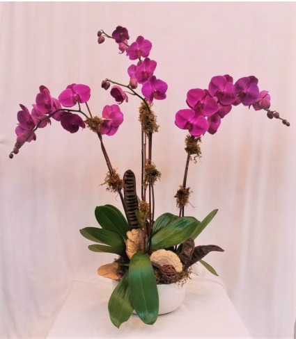 Triple Pink  Orchid Arrangement