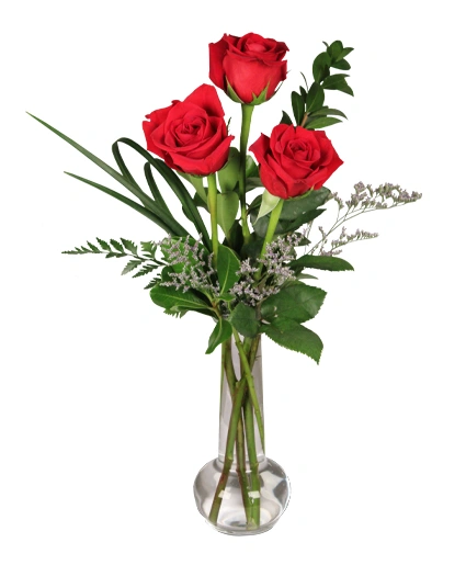 Triple Rose Bud Vase 3 Premium Roses