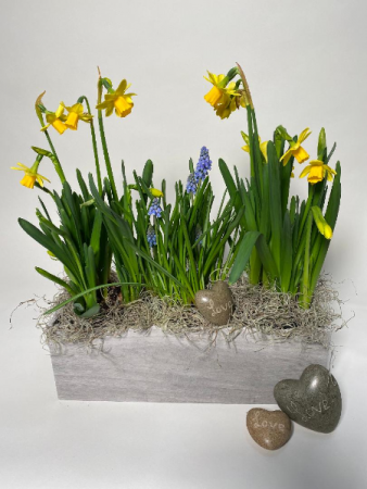 Triple Wooden Planter Plant Basket