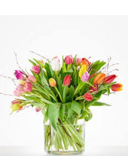 TRIUMPHANT TULIPS VASED ARRANGEMENT