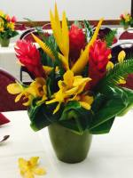 TROPICAL ROYALTY Tropical arrangement