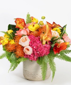 Tropic Like it's Fall! 