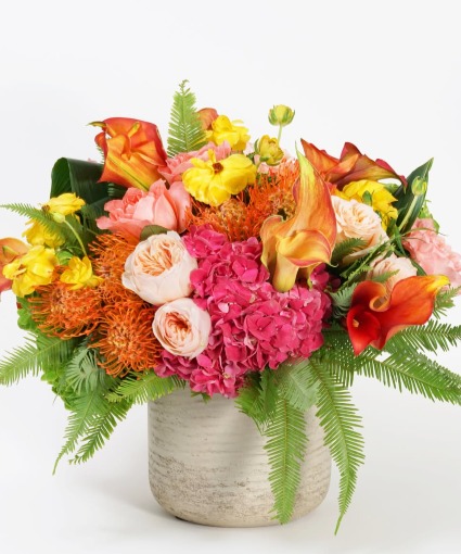Tropic Like it's Fall! 
