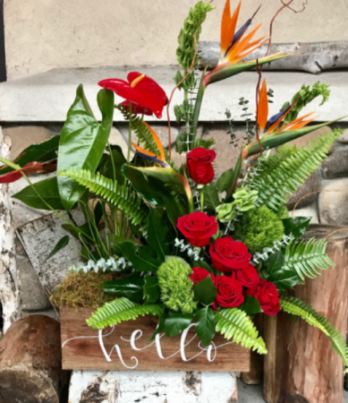  Tropic romance  