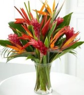 Tropic Vase Tropical