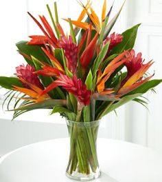 Tropic Vase Tropical
