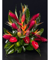 Tropical Arrangement  