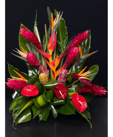 Tropical Arrangement   in Coconut Grove, FL | Luxury Flowers