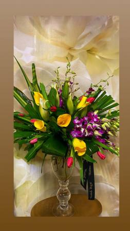 Tropical Bliss  Dicha Tropical 