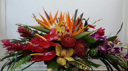 Tropical Centerpiece 