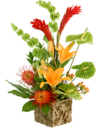 Tropical Delight  in Fenton, MI | FENTON FLOWERS & EVENTS
