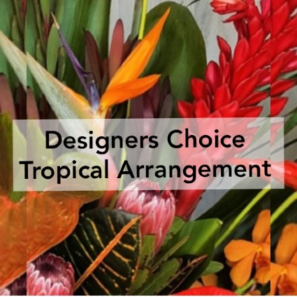 TROPICAL - DESIGNERS CHOICE Vase Arrangement