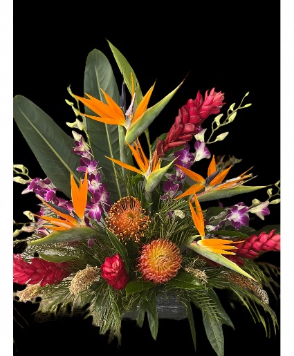 Tropical Dreams Arrangement